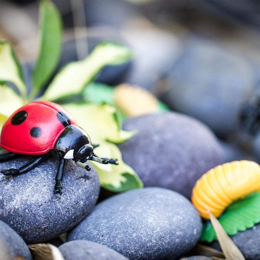 Life Cycle of a Ladybug Montessori Language Animal Figurines Collection by Safari Ltd Early Science STEM Bug Toys 4yrs+