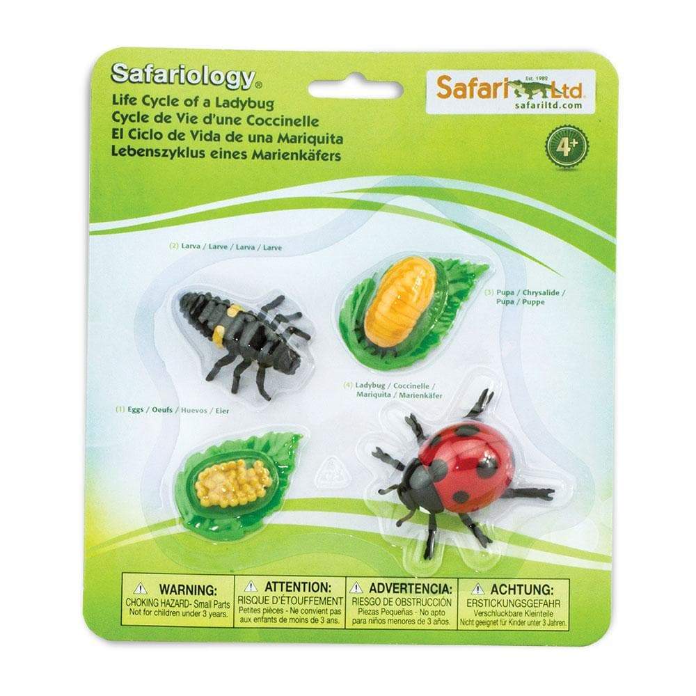 Life Cycle of a Ladybug Montessori Language Animal Figurines Collection by Safari Ltd Early Science STEM Bug Toys 4yrs+