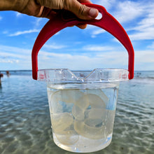 Classic Clear Kids Water Bucket with Lip for your next Science Sensory experiment 1.2L by Dantoy Sensory Outdoor Play Tools Developmental Toys for Toddlers 2yrs+