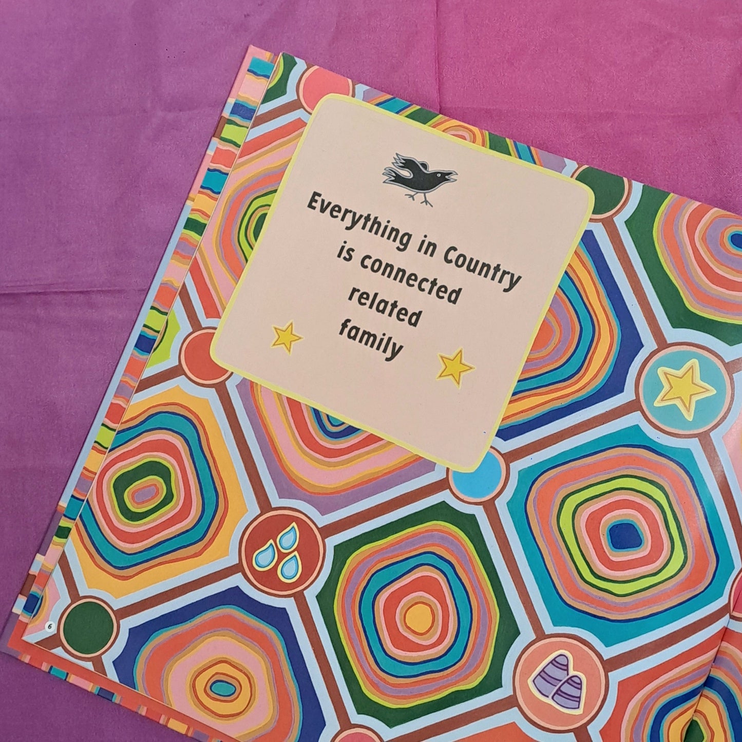 Belonging First Nation Kids Picture Book by Ambelin Kwaymullina