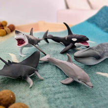 Sea Life Figurine Collection 5pc Gift Box Set by CollectA Animal Figurines 3yrs+