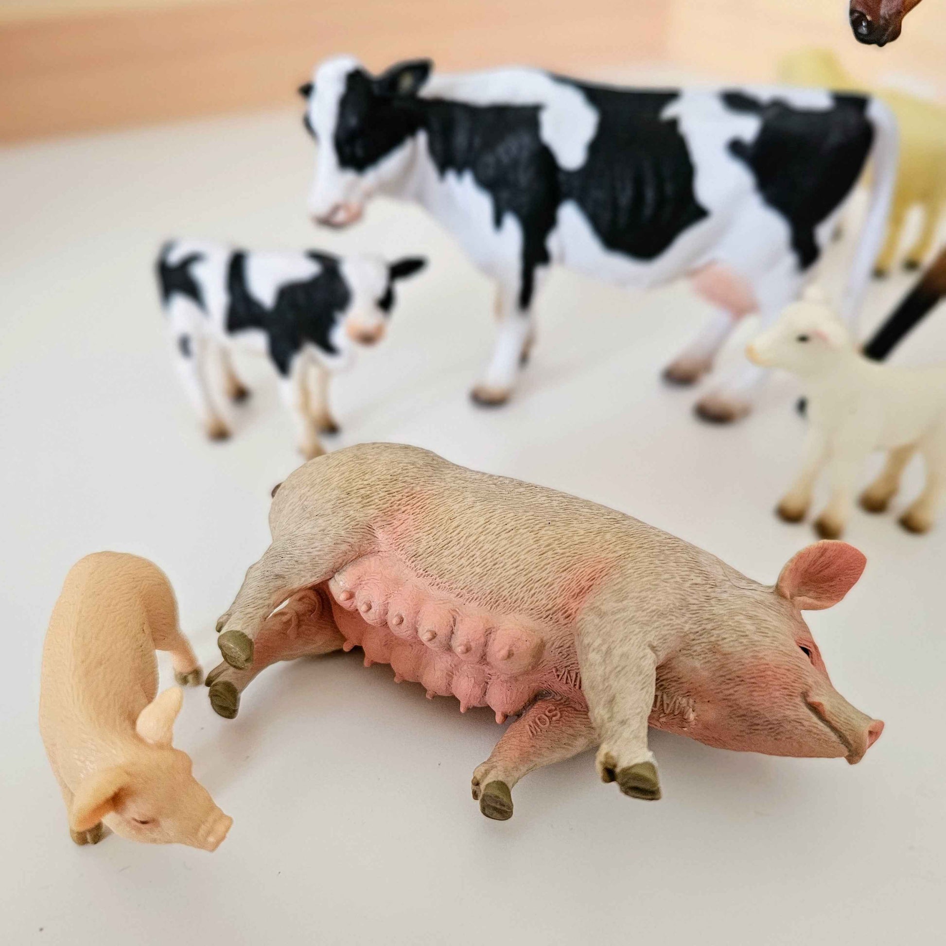 Farm Animals Figurine Collection 8pc Gift Box Set by CollectA Animal Figurines 3yrs+