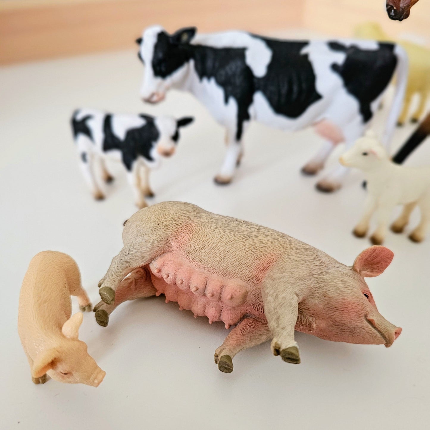 Farm Animals Figurine Collection 8pc Gift Box Set by CollectA Animal Figurines 3yrs+