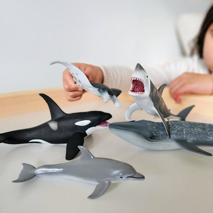 Sea Life Figurine Collection 5pc Gift Box Set by CollectA Animal Figurines 3yrs+