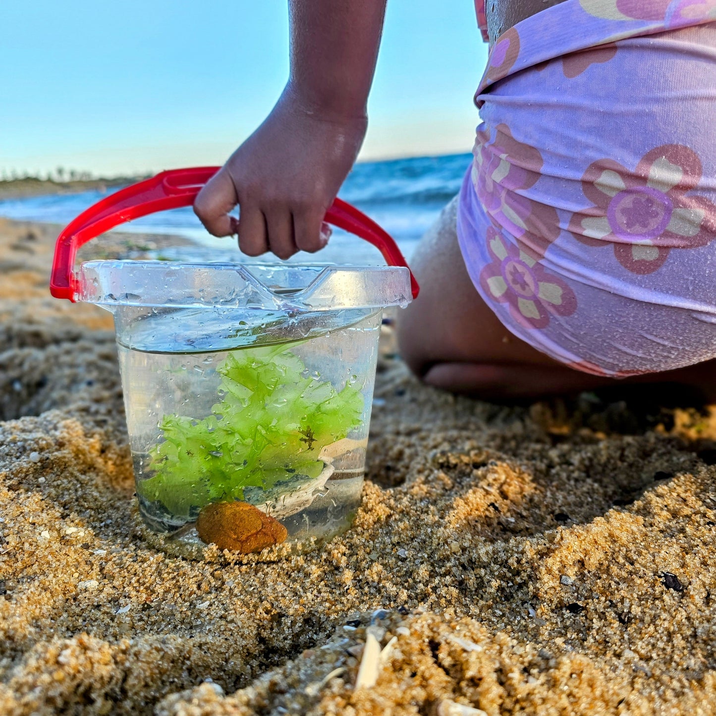 Classic Clear Kids Water Bucket with Lip for your next Science Sensory experiment 1.2L by Dantoy Sensory Outdoor Play Tools Developmental Toys for Toddlers 2yrs+