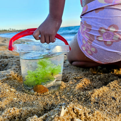 Classic Clear Kids Water Bucket with Lip for your next Science Sensory experiment 1.2L by Dantoy Sensory Outdoor Play Tools Developmental Toys for Toddlers 2yrs+