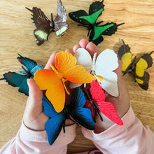 Tube of 8 Butterflies Animal Figurines Montessori Language Learning Woodland Figurines by Safari Ltd Toob Range 3yrs+