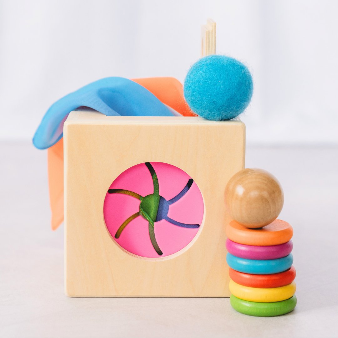 The Totli Box Multiple Sensory All in One Baby Sensory Cognitive Developmental Toys for Baby and Toddlers Best Seller Most Loved in Store 12m+
