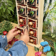 Yellow Door Wooden Bug Hotel 10-Frame Counting Set 11pcs with Chalk Board Early Maths Bug Toys 18m+