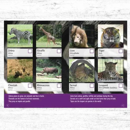 I Spy Zoo Edition Activity Book by Spotto Books (Paperback) Travel Book Clearance 2yrs+
