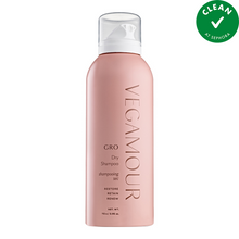 Gro Dry Shampoo - 112g