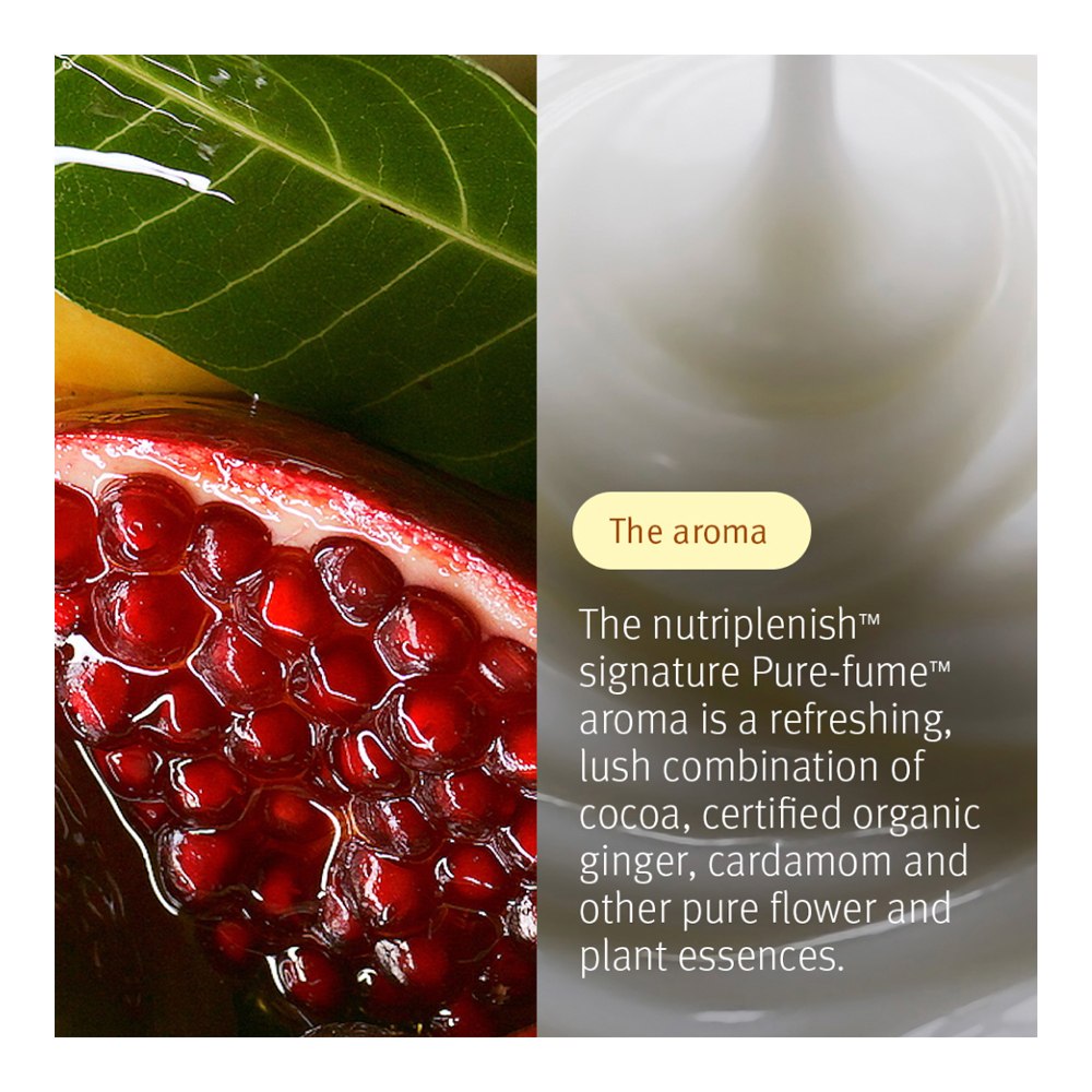 Moisture Marvels: Nutriplenish Hydrating Essentials Trio (Holiday Limited Edition)