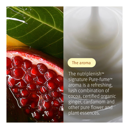 Moisture Marvels: Nutriplenish Hydrating Essentials Trio (Holiday Limited Edition)