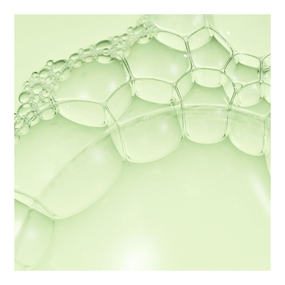 Squalane + BHA Pore Minimizing Toner - 120ml