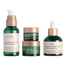 Plump + Hydrate Set