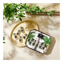 Perfume Oil Collection Discovery Set