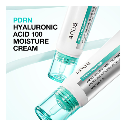 PDRN Hyaluronic Acid 100 Moisturizing Cream - 60ml
