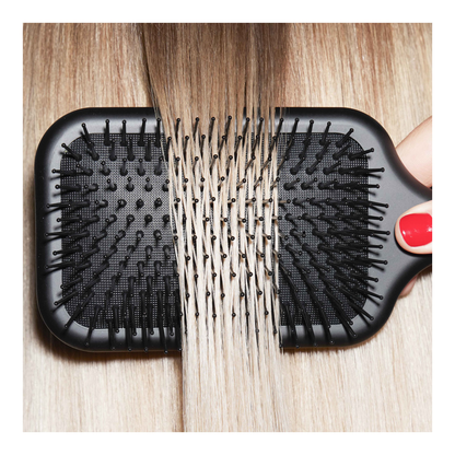 New Paddle Brush