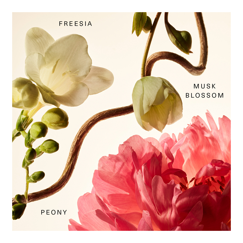 Floral Peony Blossom Rare Fragrance Layering Balm - 20ml