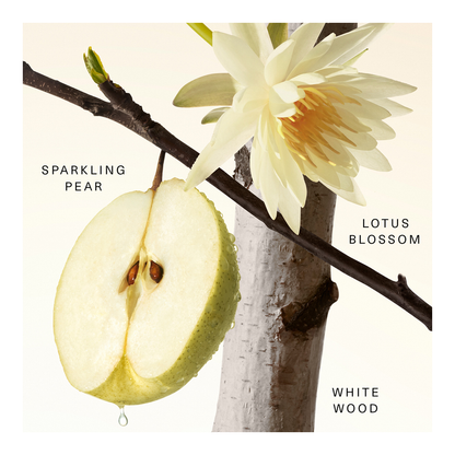 Fruity Pear Fragrance Layering Balm - 20ml