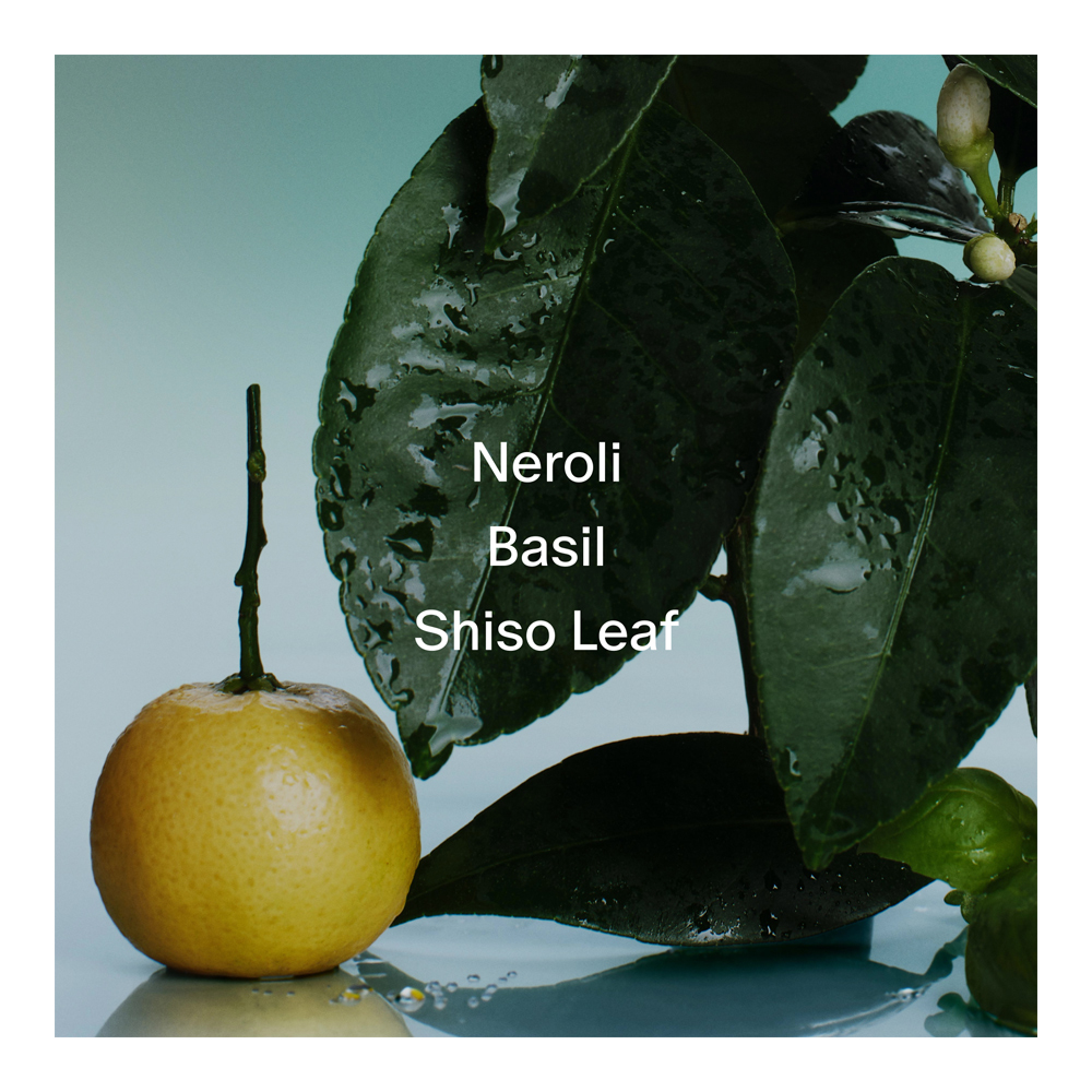 Neroli & Basil Body Mist - 100ml